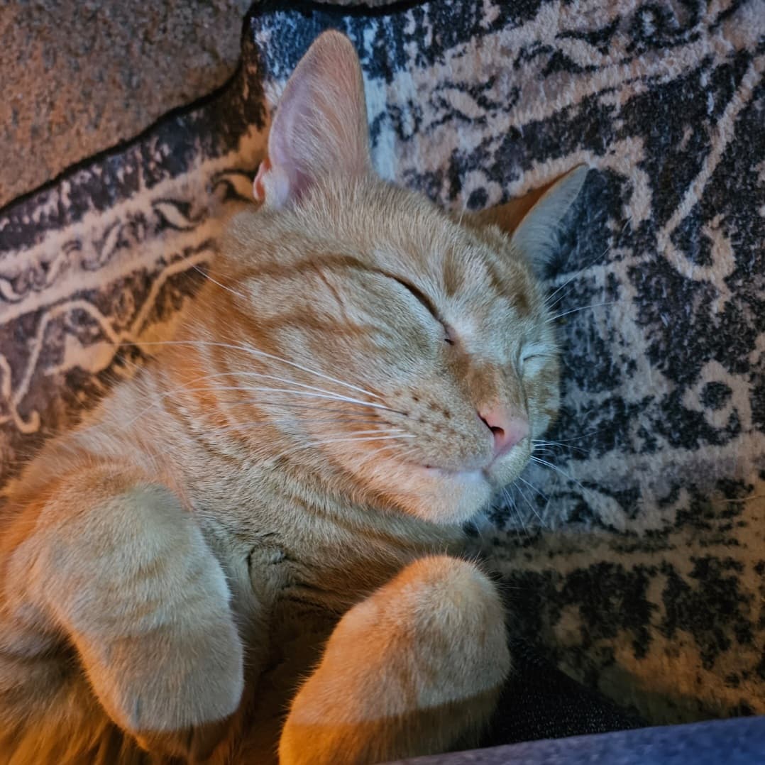 Apollo